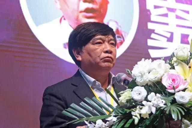 中國炤明學(xué)會祕書長竇林平.jpg